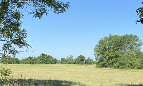 Rieselfelder Sputendorf