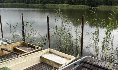 Güterfelder Haussee Ende Juli 2023