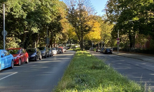 Lichterfelder Allee im Bereich des Diakonissenhauses, 2021