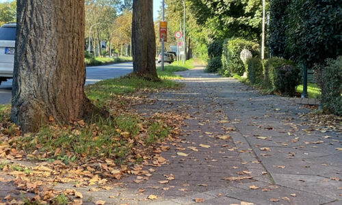 Radweg Lichterfelder Allee