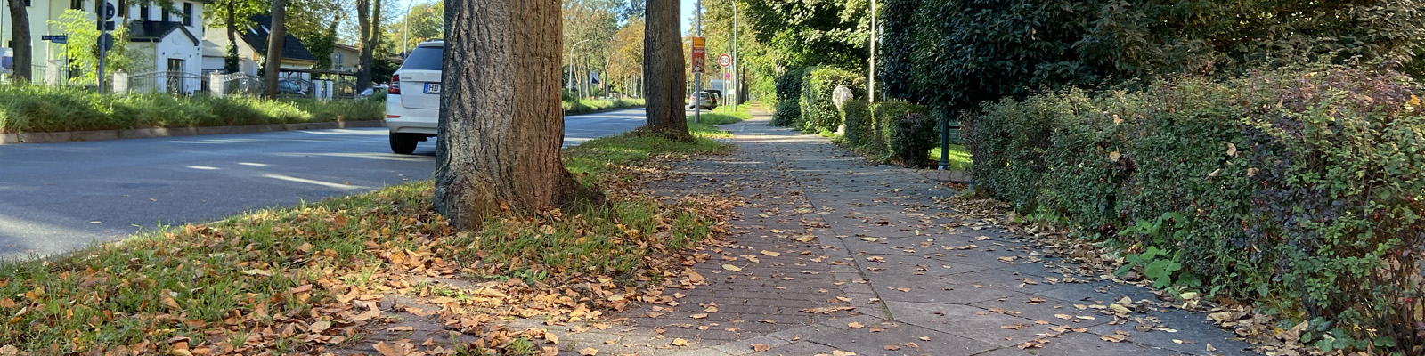 Radweg Lichterfelder Allee